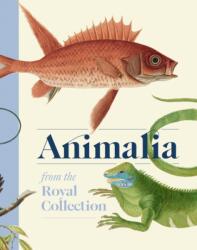 Animalia (ISBN: 9781909741928)