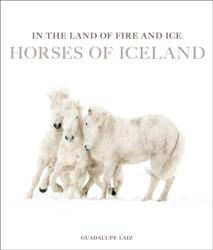In the Land of Fire and Ice (ISBN: 9781875498420)