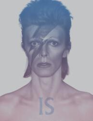 David Bowie Is (ISBN: 9781838510589)