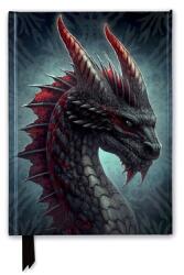 Kerem Beyit: Fierce Dragon (ISBN: 9781835626375)