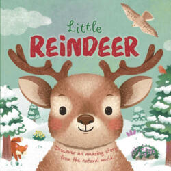 Nature Stories: Little Reindeer - Willow Green, Gisela Bohórquez (ISBN: 9781835449707)