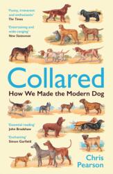 Collared (ISBN: 9781800816404)