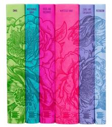 Jane Austen Boxed Set (ISBN: 9781667210506)