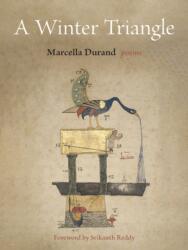 A Winter Triangle (ISBN: 9781531511708)