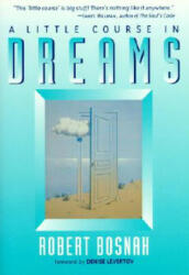 Little Course in Dreams - Robert Bosnak (ISBN: 9781570623868)