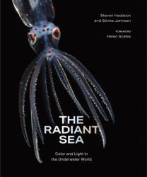 The Radiant Sea (ISBN: 9781419772375)
