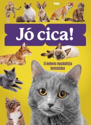 Jó cica (ISBN: 9789635103119)