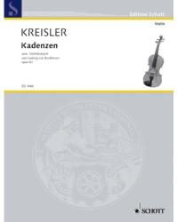 KADENZEN ZUM VIOLINKONZERT VON LUDWIG VAN BEETHOVEN OP. 61 FÜR VIOLINE SOLO (ISBN: 9786300192775)
