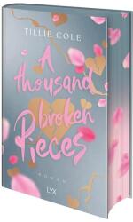A Thousand Broken Pieces: Special Edition (ISBN: 9783736324831)
