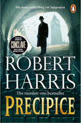 Precipice (ISBN: 9781804941294)