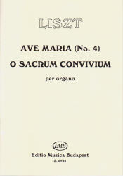 AVE MARIA (ISBN: 9786310252049)
