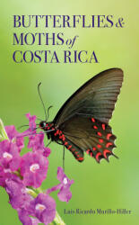 Butterflies and Moths of Costa Rica - Luis Ricardo Murillo-Hiller (ISBN: 9781501781605)