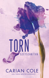 Torn - Szétszakítva (2025)