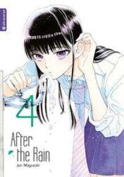 After the Rain 04 (ISBN: 9783963581526)