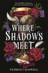 Where Shadows Meet (ISBN: 9781471411861)