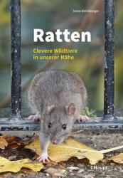 Ratten (2025)