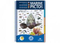 MEDTERREAN MARINE PICTOLIFE - DRAY - F. REBUFAT (2009)
