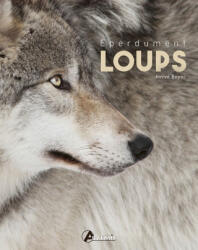 Eperdument loups - Boyac (2025)