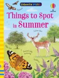 Things to Spot in Summer - Lara Bryan, Di Brookes (ISBN: 9781835401231)