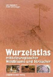 Wurzelatlas mitteleuropäischer Waldbäume und Sträucher (ISBN: 9783702009281)