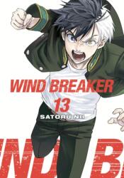 Wind Breaker 13 - V13 (ISBN: 9781646519606)