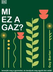 Mi ez a gaz? (2025)