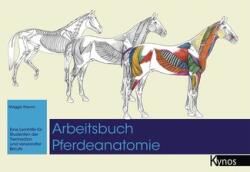 Caiet de lucru: Anatomia cailor (ISBN: 9783954643059)