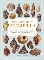 The Wonder of Seashells (2025)