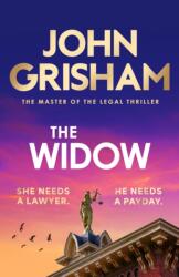 Widow (ISBN: 9781399703413)