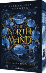 The North Wind - Reich aus Eis und Schatten (The Four Winds 1) - Anne-Marie Wachs, Simone Jakob (ISBN: 9783845861074)