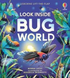 Look Inside Bug World - Rossella Trionfetti (ISBN: 9781805074076)