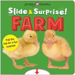 Slide & Surprise Farm - Roger Priddy (ISBN: 9781916745353)