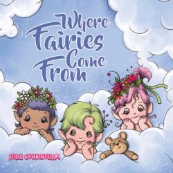Where Fairies Come From (ISBN: 9781035888214)