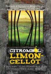 Citromból limoncellót (2014)