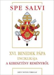 Spa salvi - A keresztény reményről (ISBN: 9789633619803)