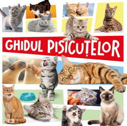 Ghidul Pisicutelor, - Editura Kreativ (ISBN: 9786303291420)