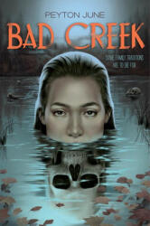 Bad Creek (ISBN: 9781324082934)