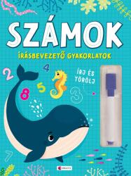 Szamok- Irasbevezeto Gyakorlatok 2025, - Editura Kreativ (ISBN: 9786303291253)