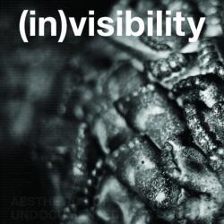(in)visibility (ISBN: 9780998044552)