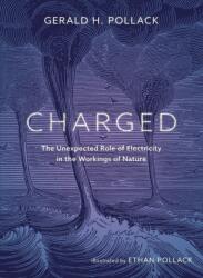 Charged (ISBN: 9780988778900)