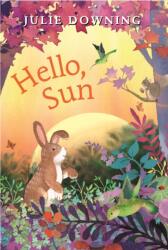 Hello, Sun (ISBN: 9780823459957)