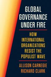Global Governance Under Fire (ISBN: 9780691276212)