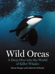 Wild Orcas (ISBN: 9780691269849)