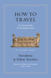 How to Travel (ISBN: 9780691259062)