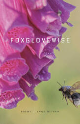 Foxglovewise - MLINKO ANGE (ISBN: 9780374609177)