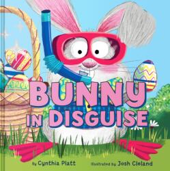 Bunny in Disguise (ISBN: 9780063483033)