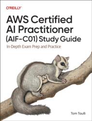 AWS Certified AI Practitioner (AIF-C01) Study Guide (ISBN: 9798341622333)