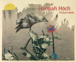 Picture Book - Hannah Höch, Brian Currid (ISBN: 9783941644137)