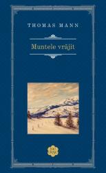 Muntele vrăjit (ISBN: 9786066095945)