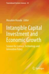 Intangible Capital Investment and Economic Growth (ISBN: 9789819676743)